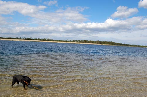 Ротвейлер Жардан на Голубом озере