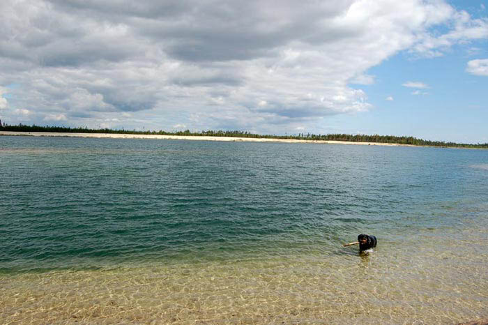 Фото ротвейлера Жардана. Лето в тайге 2009