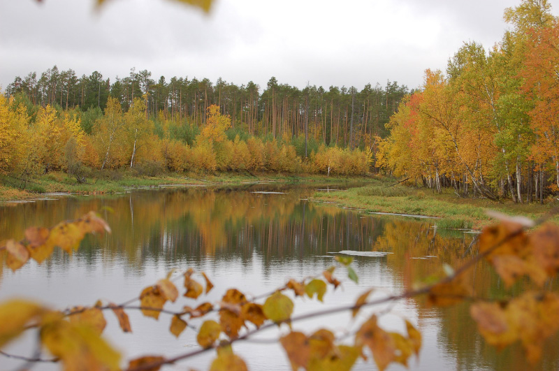 Осень в Западной Сибири. Фото.