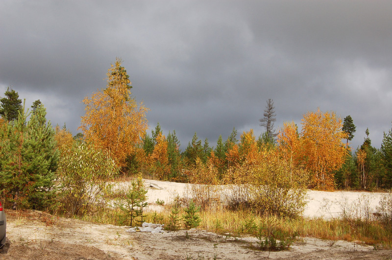 Осень в Западной Сибири. Фото.