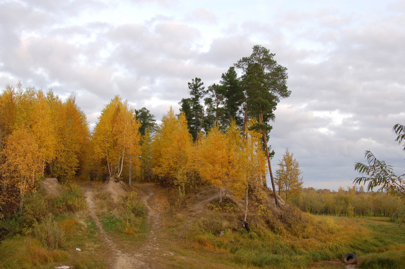 Осень в Западной Сибири. Фото.
