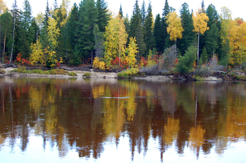 Осень в Западной Сибири. Фото.