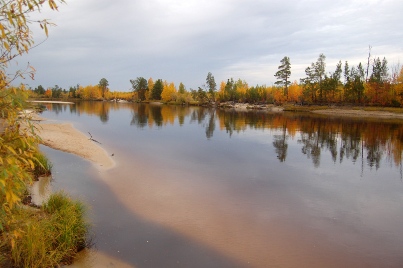 Осень в Западной Сибири. Фото.