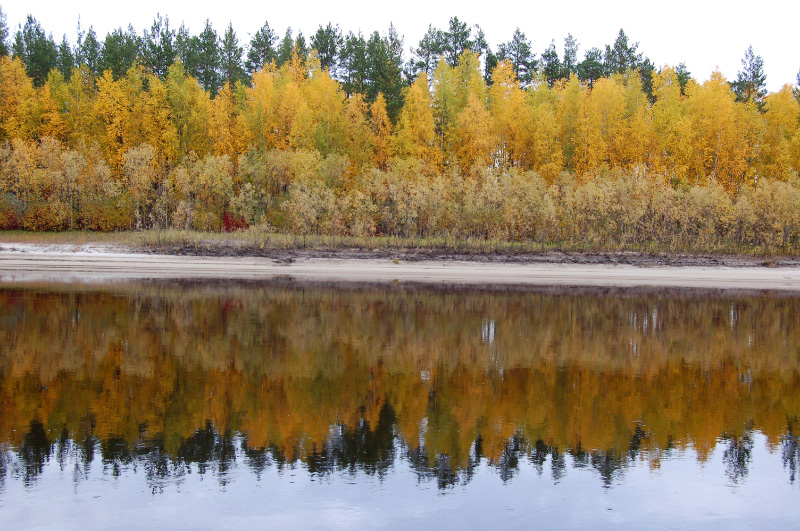 Осень в Западной Сибири. Фото.