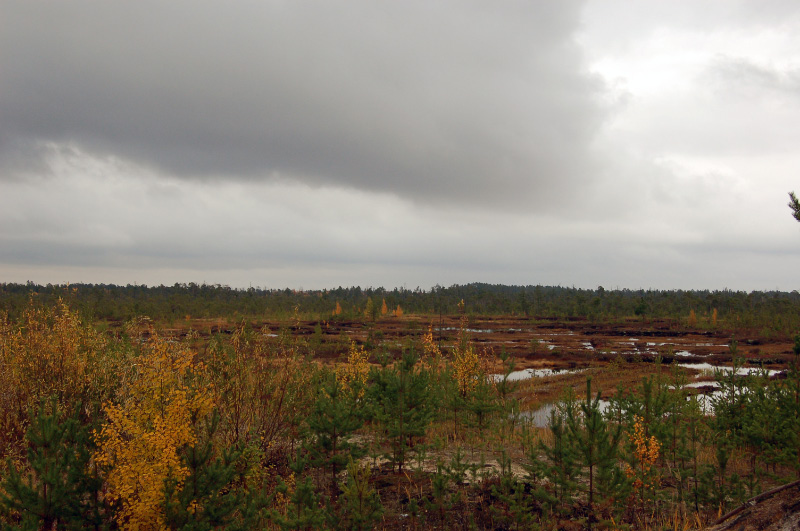 Осень в Западной Сибири. Фото.