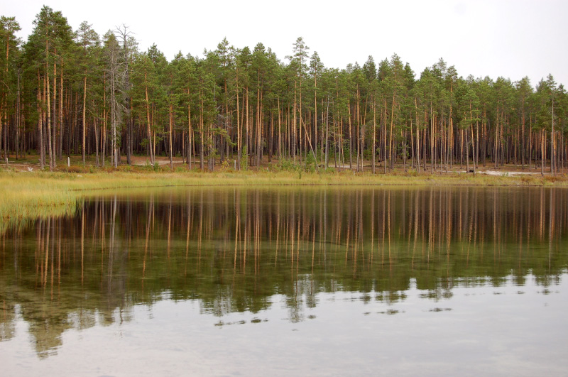 Осень в Западной Сибири. Фото.