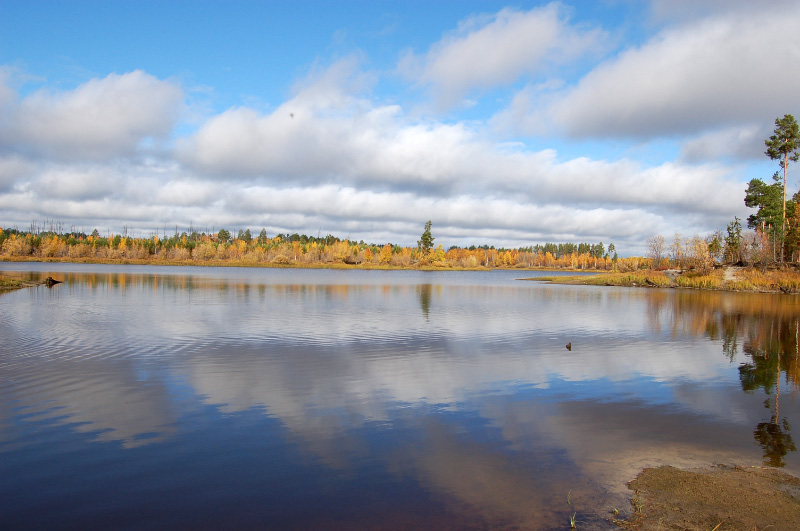 Осень в Западной Сибири. Фото.