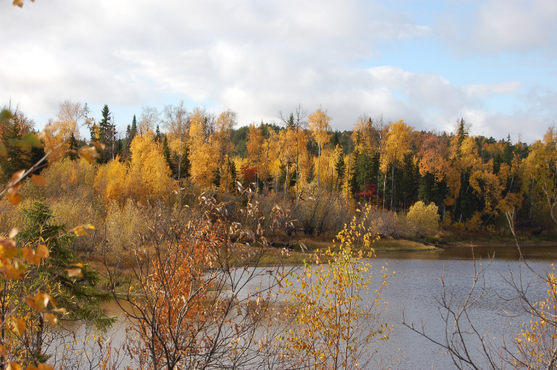 Осень в Западной Сибири. Фото.