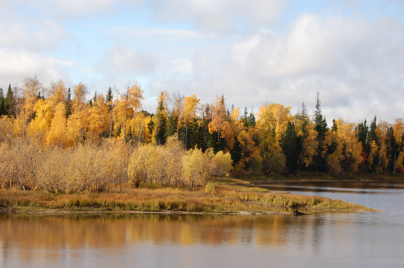 Осень в Западной Сибири. Фото.