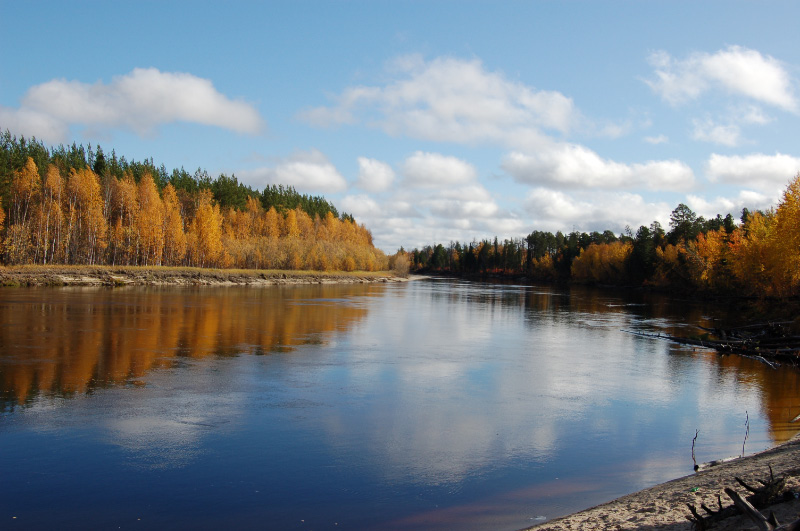 Осень в Западной Сибири. Фото.