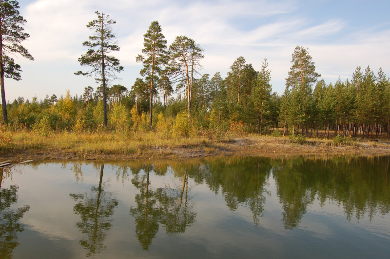 Осень в Западной Сибири. Фото.