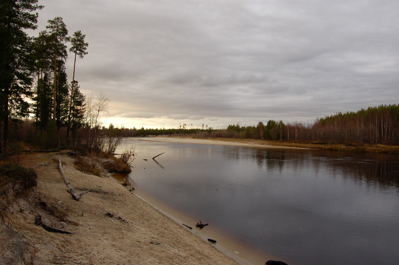 Осень в Западной Сибири. Фото.