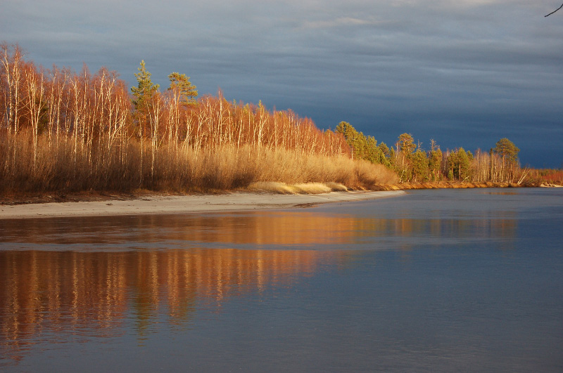 Осень в Западной Сибири. Фото.