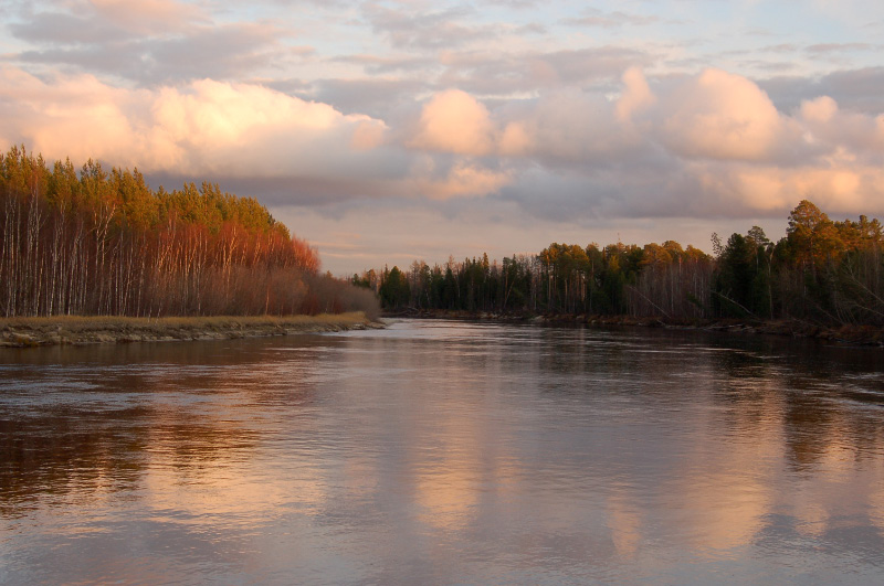 Осень в Западной Сибири. Фото.