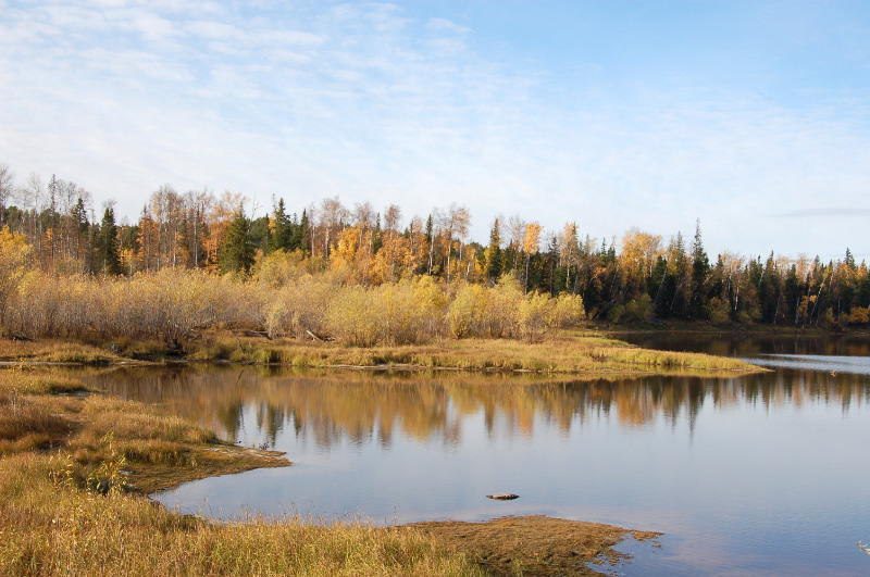 Осень в Западной Сибири. Фото.