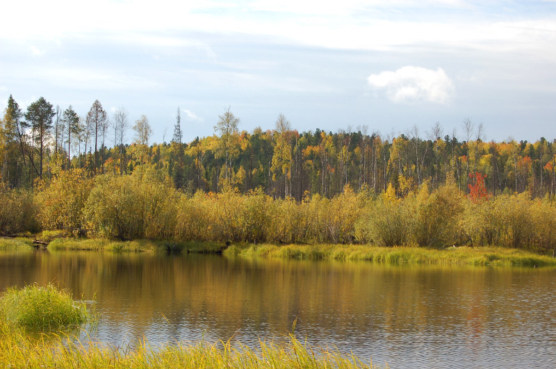 Осень в Западной Сибири. Фото.