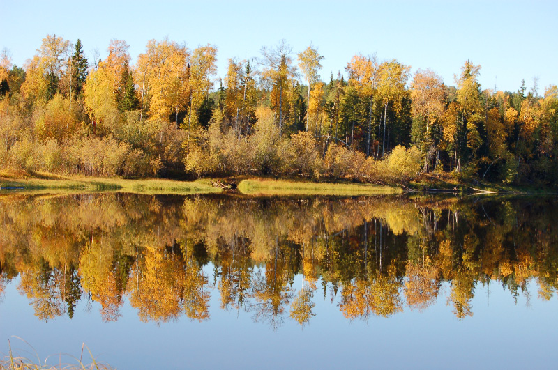 Осень в Западной Сибири. Фото.